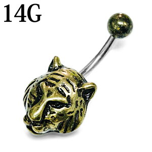 {fBsAX 14G XeX ^CK[ ւsAX / 14Q[W S[h ix w\sAX C[u g  {fB[sAX   Aj} `sAX 14g ҏb AeB[NS[