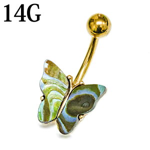 {fBsAX 14G XeX AoVFo^tCւsAX / 14Q[W S[h J[uho[x w\sAX lCu ix L oiio[x  `E X 킢 `sAX