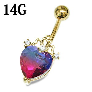 {fBsAX 14G n[gWGtւsAX / XeX oiio[x S[h 14Q[W WG WF CZ w\s  ` 316LT[WJXeX lCu ix 킢