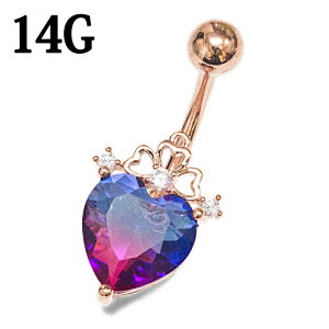 {fBsAX 14G n[gWGtւsAX / XeX oiio[x [YS[h 14Q[W WG WF CZ w\s  ` 316LT[WJXeX lCu ix 