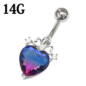 {fBsAX 14G n[gWGtւsAX / XeX oiio[x Vo[ 14Q[W WG WF CZ w\s  ` 316LT[WJXeX lCu ix 킢