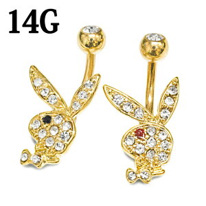 yz֑z{fBsAX 14G vC{[C 14KTS[hbLR[eBOւsAX / XeX 14Q[W S[h uh Ki oiio[x  ix `sAX w\ 