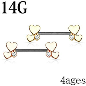 {fBsAX 14G NX^[n[gtjbvo[x/ 14Q[W Vo[ XeX Xg[go[x  XN[ fUC {fB[sAX WG 킢 PVD