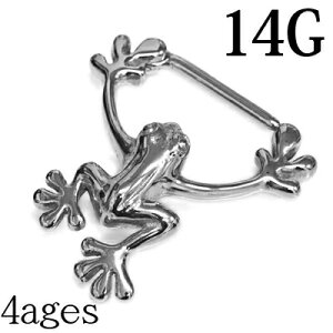 {fBsAX 14G tbOjbvNbJ[ / 14Q[W Vo[ XeX Xg[go[x  fUC ^ JG o[x ঒  AM[Ή 킢 sAX 