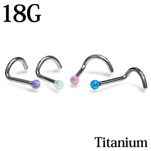 {fBsAX 18G VZeBbNIp[gbvXN[`^@sAX / 18Q[W ×p Vo[ m[YX^bh Vv 킢 AM[Ή