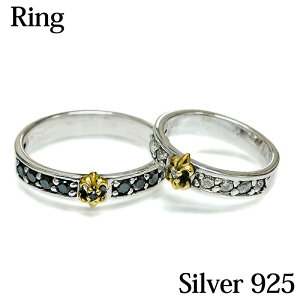 yANZT[zt[EhEX`[ttVo[O / silver Vo[925 Vo[ w S̖  WG Εt Y fB[X IV