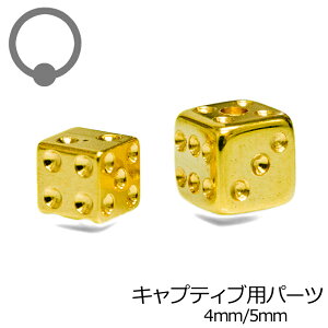 LveBup_CXp[c 4mm 5mm / S[h {fBsAXp[c XeX CBR ͂ߍ O^ Lb` TCR PVD 킢  LveBuO