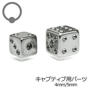 LveBup_CXp[c 4mm 5mm / {fBsAXp[c Vo[ AM[Ή XeX CBR ͂ߍ O^ Lb` TCR JX^ 킢  Lve