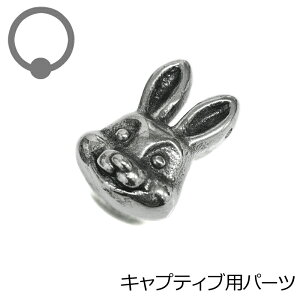 {fBsAXp[c XeX CBRprbgwbhLb` / Vo[ JX^ ETM e 316L p Aj}  {fB[sAX  LveBu O Lb`̂ A