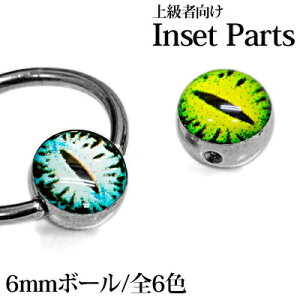 LveBup6mmڋʃ{[B / {fBsAXp[c XeX Vo[ JX^ h Lb` CBR ͂ߍ AC{[  ዅ AM[Ή L LveBuO