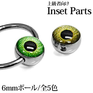 yHSzLveBup6mmڋʃ{[A / {fBsAXp[c XeX Vo[ JX^ h Lb` CBR ͂ߍ AC{[  ዅ  p AM[Ή Lve