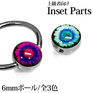 LveBup6mmڋʃ{[D / {fBsAXp[c XeX Vo[ JX^ h Lb` CBR ͂ߍ AC{[  ዅ AM[Ή AW LveBuO