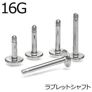 {fBsAX 16G XeX ubgVtg 4mm 5mm 6mm 8mm 9mm / 16Q[W Vo[ p[c T[WJ JX^ Vv AM[Ή 킢  sAX