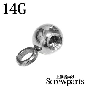 {fBsAX 14G @[eBJt[vtlW{[ / 14Q[W t[v JX^ Lb` XN[ p[c XeX AM[Ή 킢  lWp[c