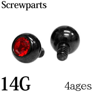 {fBsAX 14G XeX 14GpWGttlW{[ 3mm / p[c ubN 14Q[W C^[i p Lb` WRjA WF PVD lW 킢 