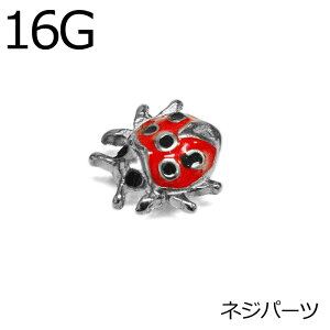 {fBsAX 16G ĂƂlWp[c / 14Q[W Vo[ JX^ Lb` GNX^[i XeX XN[ lWLb` `[t AM[Ή `[t egE