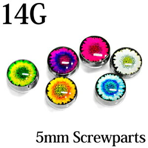 {fBsAX 14Gp5mmڋʃlW{[G / 14Q[W Vo[ JX^ p Lb` p[c XeX XN[  AM[Ή lWp[c lWLb`