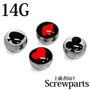 {fBsAX 14G gvlWp[c / 14Q[W Vo[ JX^ p Lb` p[c XeX XN[ Xy[h n[g _C Nu AM[Ή 킢 lWLb