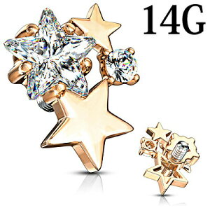 {fBsAX 14G X^[tlWp[c / 14Q[W [YS[h XeX Lb` XN[ p C^[i CZ WG  PVD 킢 lW