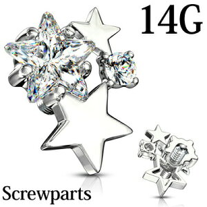 {fBsAX 14G X^[tlWp[c / 14Q[W Vo[ XeX Lb` XN[ p C^[i CZ WG  킢 lW