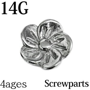 {fBsAX 14G t[lWp[c / Vo[ JX^ Lb`  p[c XeX XN[ 킢 14Q[W  TN a AM[Ή lWLb`