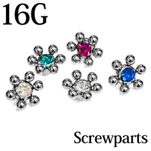 yz֑z{fBsAX 16GpTt[WG{[ 5mm / 16Q[W Vo[ JX^ p Lb` p[c XeX XN[ AM[Ή 킢  q}