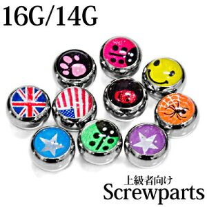 {fBsAX 16G 14G psN`[lW{[ / 16Q[W 14Q[W Vo[ p[c XeX JX^ p Lb` 6mm vg  킢 XN[ sAX s A