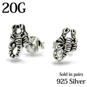 yz֑z yA 20G XR[sI`[t|XgsAX / 20Q[W Vo[925 t@bVsAX Vo[ T\  X^bhsAX `[t 킢 p fUC 偌`