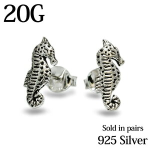 yz֑z yA 20G ^cmIgVS`[t|XgsAX / 20Q[W Vo[925 t@bVsAX Vo[ X^bhsAX `[t 킢 p fUC