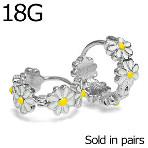 2 18G t[OsAX / 18Q[W Vo[ XeX ^b` t[vsAX u sAX wbNX Zbg  t@bVsAX {fBsAX 킢 p