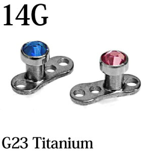 {fBsAX 14G G23`^ XtXL[tbgWFt_[}AJ[ / 14Q[W Vo[ Cvg `FXg ibN  ×p O[h23 AM[Ή 킢