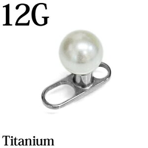 {fBsAX 12G p[{[t`^_[}AJ[ / 12Q[W Vo[ ×p`^ Cvg  XN[ AM[Ή ߍ 킢