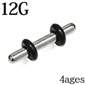 {fBsAX XeX 12G EhvO / 12Q[W Vo[ g [Wz[ nCQ[W C[u Vv  sAX wbNX AM[Ή 12g z[ 