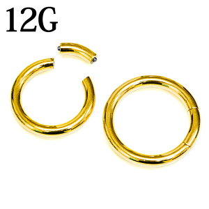 {fBsAX 12G ZOgO / XeX S[h Vv sAX 12Q[W u {[ ւ OsAX Vv  t[v  PVD