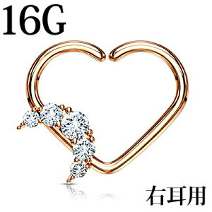 {fBsAX 16G O`[ttn[gt[vO(Ep) / 16Q[W XeX [YS[h փbNX gKX u _炩 tLVu 킢 sAX