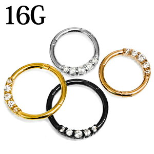 {fBsAX 16G CZtfUC^b`ZOgO / XeX 16Q[W OsAX sAX PVD NbJ[ ςȂ WG