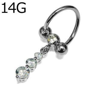 {fBsAX 14G WG`[tXpCo[xB / 14Q[W Vo[ XeX C[u sAX Εt XN[ cCXg 킢  LL