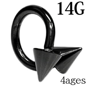 {fBsAX 14G R[lWXpCo[x / 14Q[W ubN XeX u sAX sAX J[u XN[ cCXg PVD 