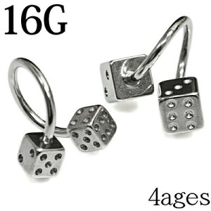 {fBsAX 16G _CX{[XpCo[x / 16Q[W Vo[ XeX u sAX sAX J[u XN[ cCXg TCR L[u  킢 A