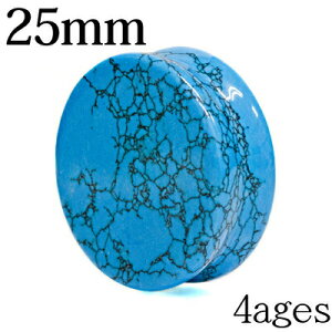{fBsAX 25mm M΃^[RCYvO / 25~ gR _utA  Xg[vO g [Wz[ nCQ[W u C[u   u[ ͂ߍ