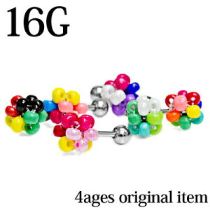 {fBsAX 16G XeX 4agesIWir[Yo[x / Vo[ 킢 16Q[W Jt  sAX gKX Xg[go[x AN  {[ 16g {fB[sA