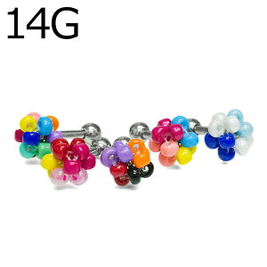 {fBsAX 14G XeX 4agesIWir[Yo[x / Vo[ 킢 14Q[W Jt  sAX gKX Xg[go[x AN  {[ 14g {fB[sA