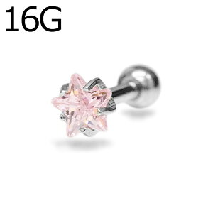 {fBsAX 16G XeX X^[CZWFtXg[go[x / 16Q[W Vo[ u sAX wbNX  WG gKX AM[Ή {fB[sAX 킢