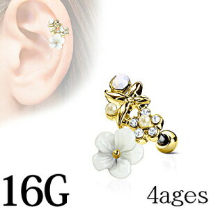 yz֑z{fBsAX 16G CZ&NCt[tfUCo[x / XeX 16Q[W S[h u sAX wbNX Xg[g fUCo[x WG 킢 