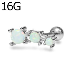 {fBsAX 16G XeX 3Ip[WGto[x / 16Q[W Vo[ u sAX wbNX fUCo[x gKX WF {fB[sAX 16g Εt 킢