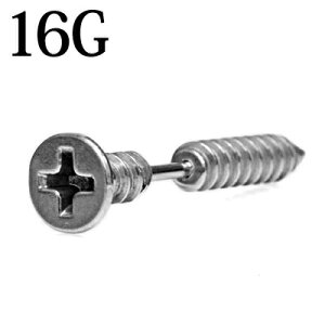 {fBsAX 16G lW`[to[x / XeX Vo[ 16Q[W H u sAX `[tsAX  vXlW Xg[go[x  fUCo[x 
