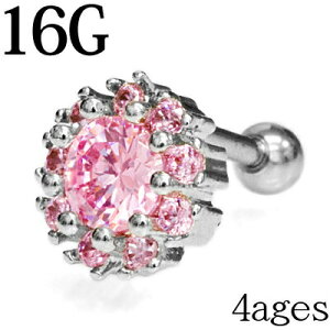 yz֑z{fBsAX 16G XeX NX^[CZt[to[x / 16Q[W Vo[ u sAX wbNX gKX  WG WF 킢 {fB[sAX 