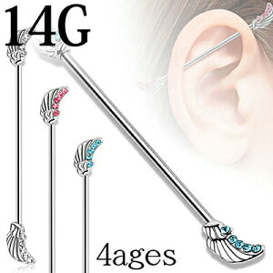{fBsAX 14G GWFEBOC_XgAo[x / 14Q[W Vo[ XeX C_X Oo[x Xg[go[x H  EBO fUCo[x sAX 