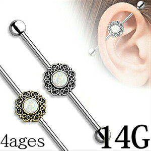 {fBsAX 14G gCon[g`[ttC_XgAo[x / 14Q[W Vo[ XeX Ip[ Xg[go[x Oo[x AeB[N AWA sA