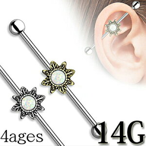 {fBsAX 14G gCo`[ttC_XgAo[x / 14Q[W Vo[ XeX Ip[ C_XgA Oo[x Xg[go[x sAX 킢